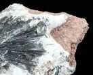 Metallic, Pyrolusite Cystals On Quartz - Morocco #56962-1